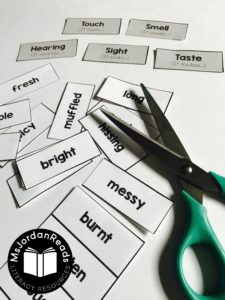 Teaching Sensory Language with Mentor Texts -- Where Butterflies Grow | A mentor text lesson with sensory language activities, anchor charts, guiding questions, and free printables for your literacy lesson