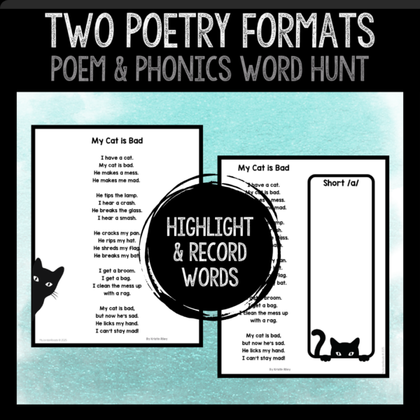 Phonics Poems: Short Vowel Fluency + Poetry Word Hunt - Image 2